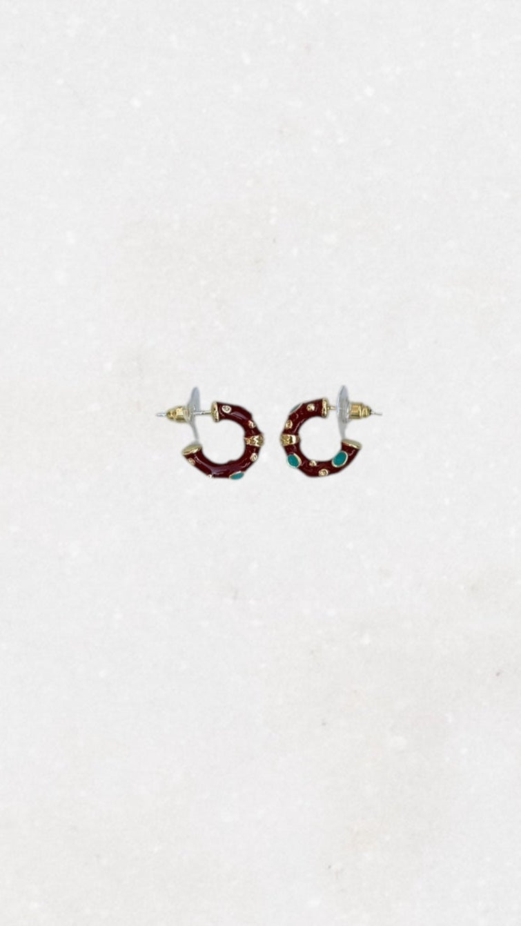 Elegant Hailey Hoops