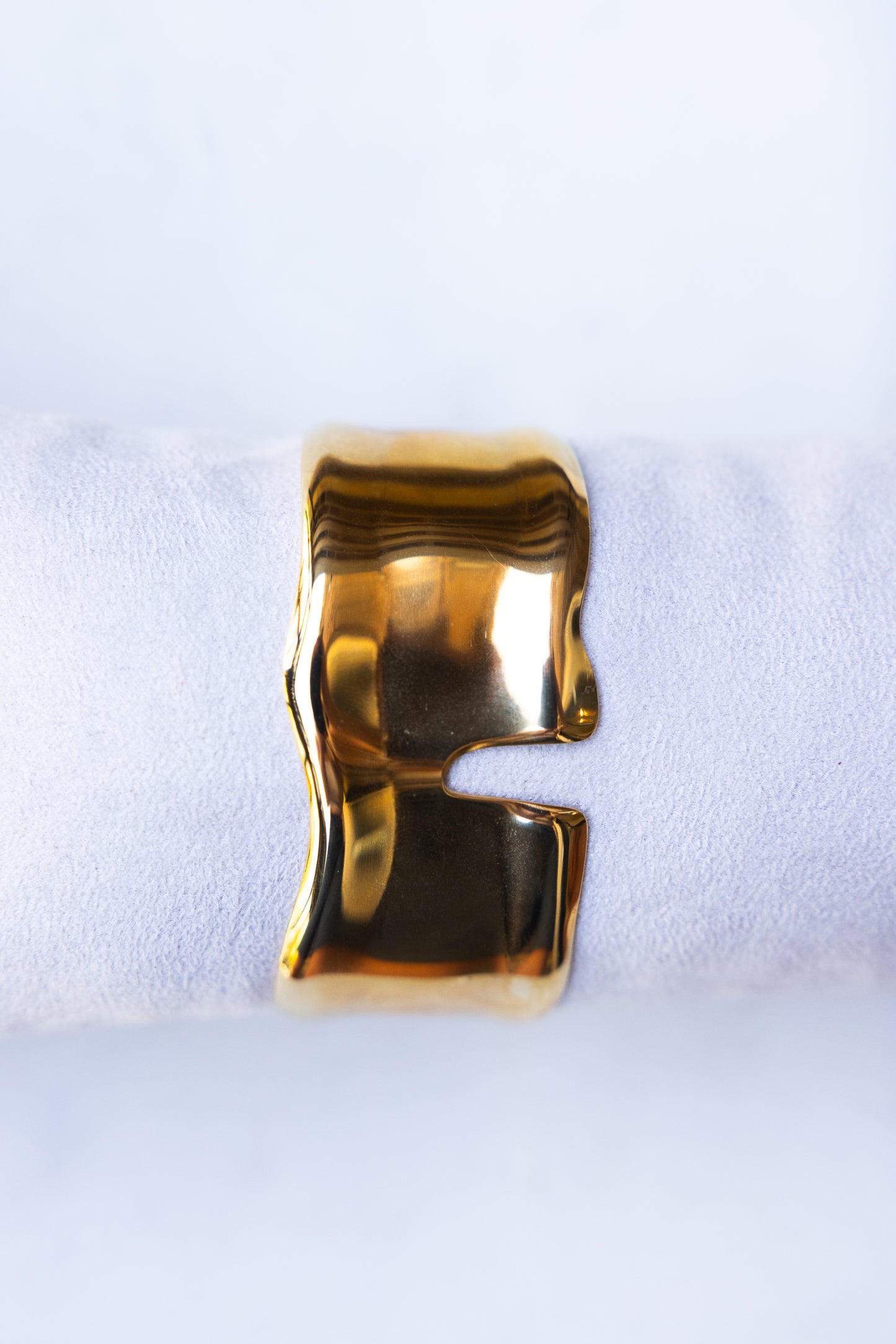 Dioon Bangle