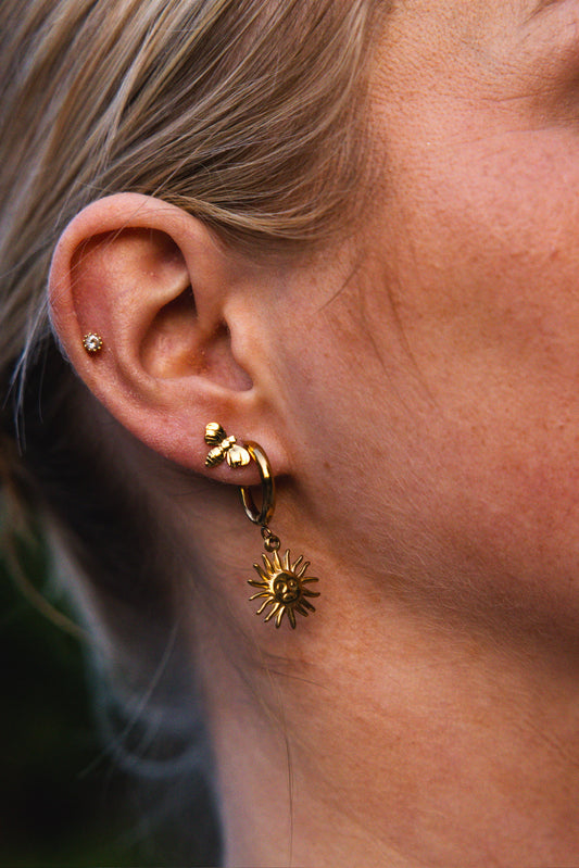 Honey Bee Studs