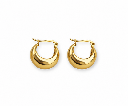 Sarah's Wishes Earrings