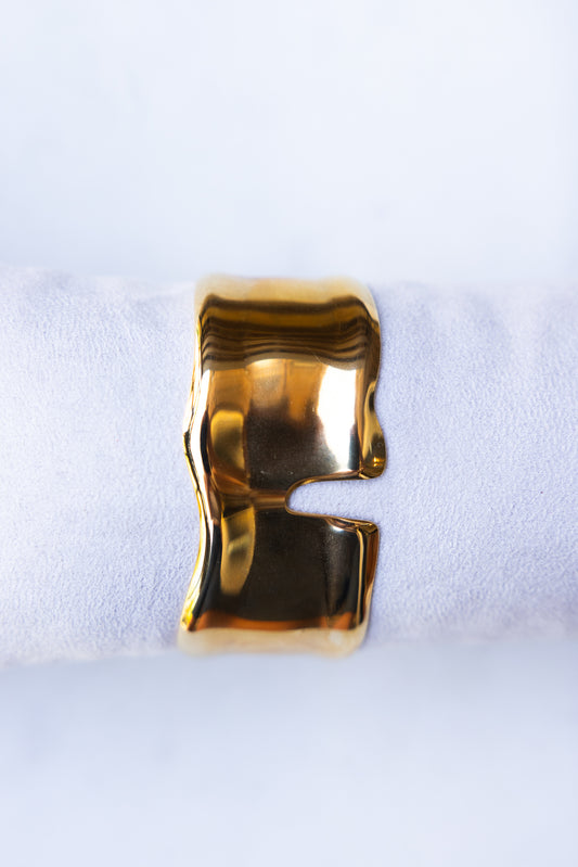 Dioon Bangle